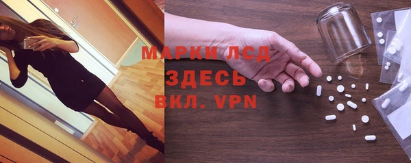 прущие грибы Арсеньев