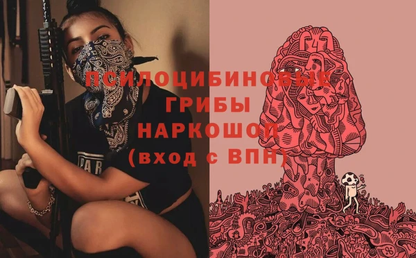 не бодяженный Аркадак