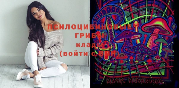 прущие грибы Арсеньев